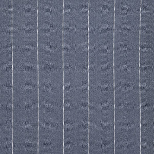 Bluesy Stripe Denim by Carole Designer Fabric