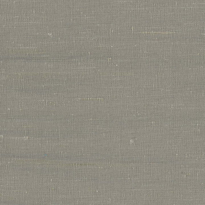 Lydia Cement by Carole Designer Fabric Lydia Ii 100% Polyester India N/A Horizontal: 0 and Vertical: 0 54 - Swanky Fabrics -