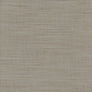 There For You Stone by Carole Designer Fabric
