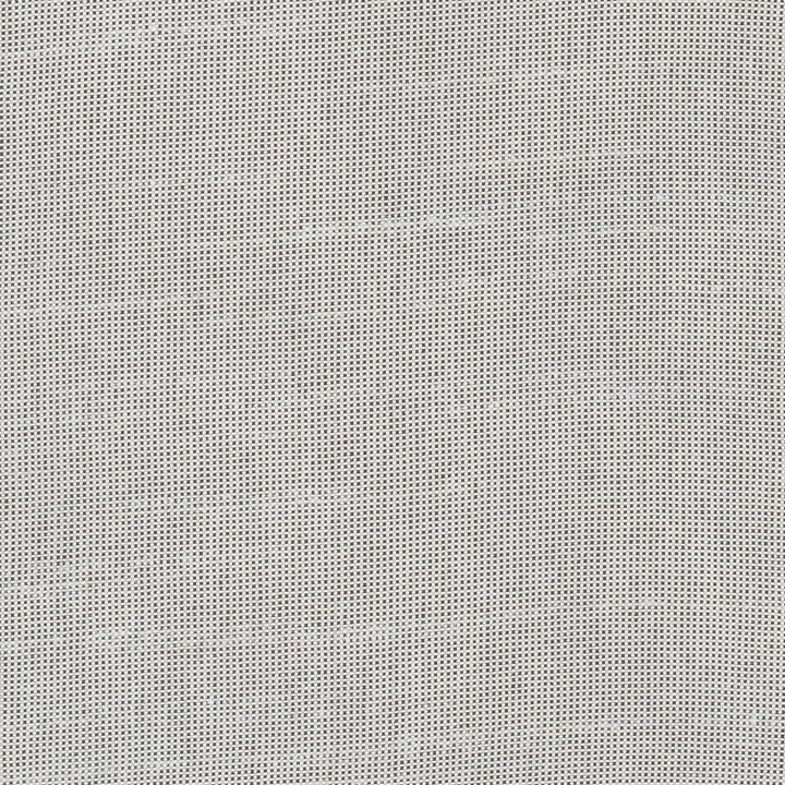 Fleeting Flint by Carole Designer Fabric Royale 100% Polyester India Passes 50,000 Double Rubs Wyzenbeek Horizontal: 0 and Vertical: 0 54 - Swanky Fabrics -
