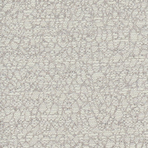Time Crunch Sterling by Carole Designer Fabric