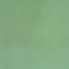 Natural Form Sage by Carole Designer Fabric