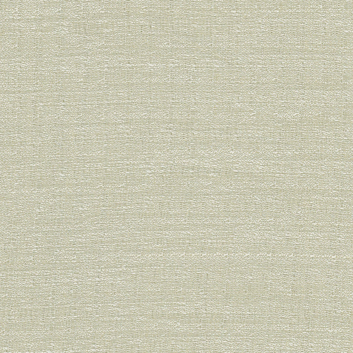 Trampoline Eucalyptus by Carole Designer Fabric For The Window 100% Polyester Turkey N/A Horizontal: 0 and Vertical: 0 60 - Swanky Fabrics -