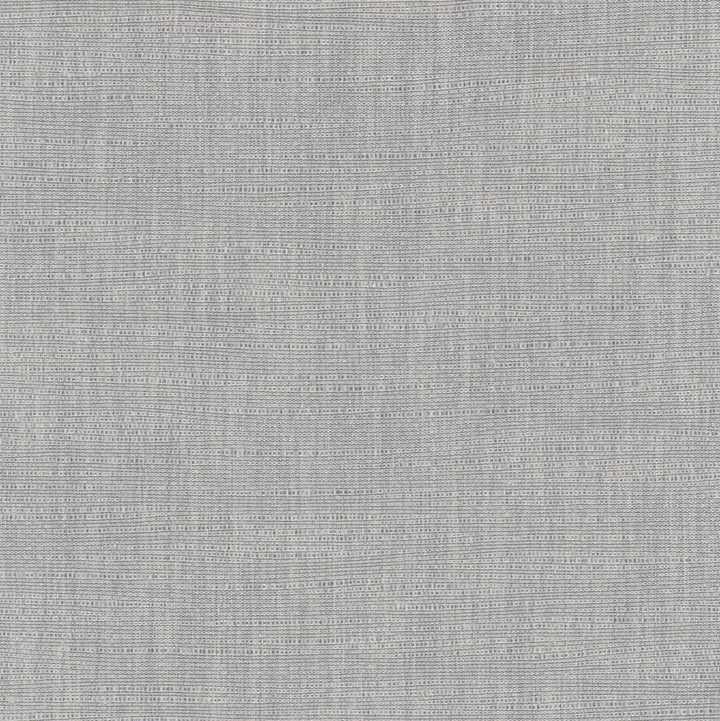 Athlete Concrete by Carole Designer Fabric Pewter 60% Cotton, 40% Polyester India Passes 50,000 Double Rubs Wyzenbeek Horizontal: 0 and Vertical: 0 55 - Swanky Fabrics -