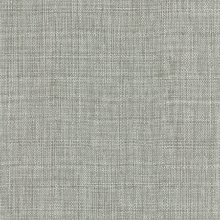 Intention Fog by Carole Designer Fabric Head Start 100% Polyester Taiwan 25,000 Wyzenbeek Double Rubs None 54" - Swanky Fabrics -