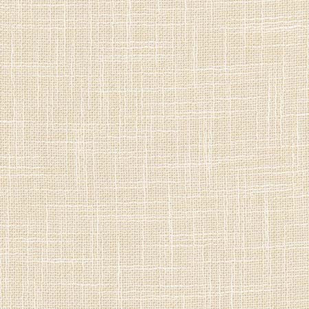 As Always Parchment by Carole Designer Fabric See It Through 100% Polyester Turkey None 55.5" - Swanky Fabrics -