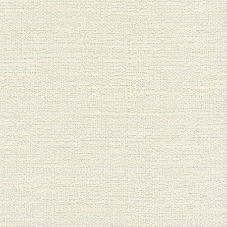 No Problem Natural by Carole Designer Fabric Alliance 81% Polyester, 19% Cotton Turkey None 60"" - Swanky Fabrics -
