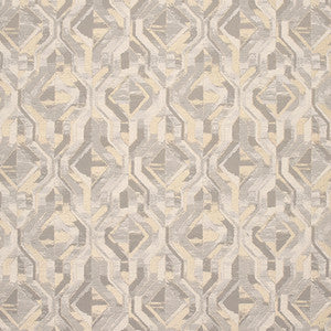 Have At It Silver by Carole Designer Fabric