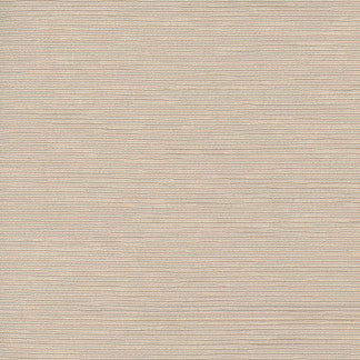First Novel Putty by Carole Designer Fabric STATIONERY 72% Rayon, 28% Polyester China Passes 30,000 Double Rubs Wyzenbeek </p><p>Repeat: None 55" - Swanky Fabrics -