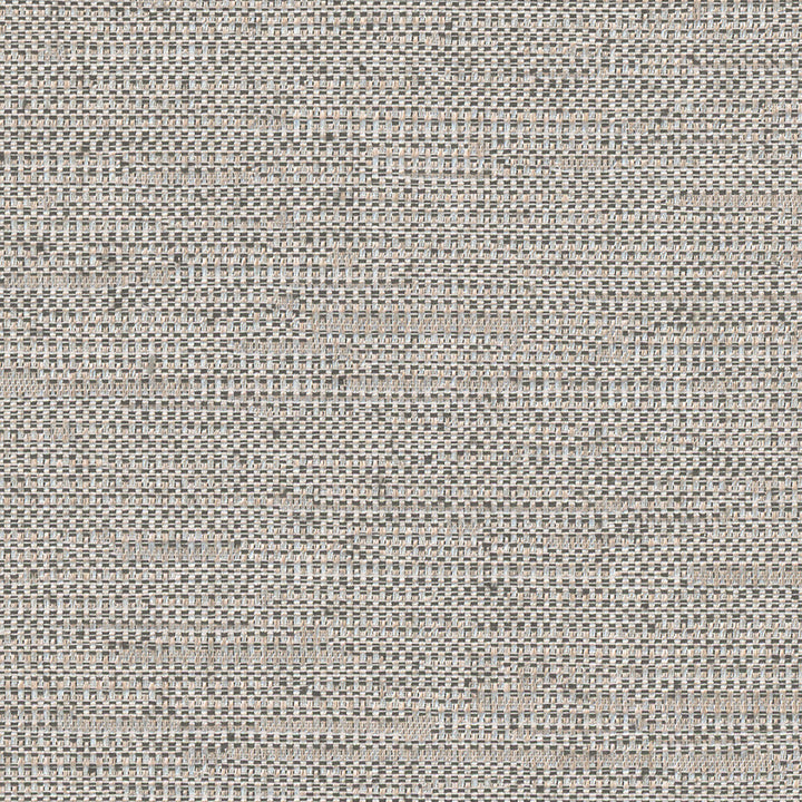 Cliff Top Urban Grey by Carole Designer Fabric Excursion 66% Polyester, 34% Cotton India 36,000 Wyzenbeek Double Rubs Horizontal: 0 and Vertical: 0 56 - Swanky Fabrics -