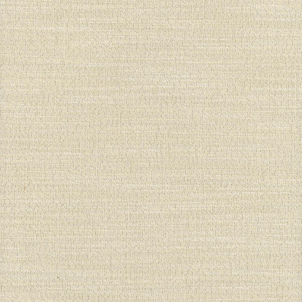 Say Yes Glint by Carole Designer Fabric Winner'S Circle 78% Polyester, 22% Viscose India N/A Horizontal: 0 and Vertical: 0 55 - Swanky Fabrics -