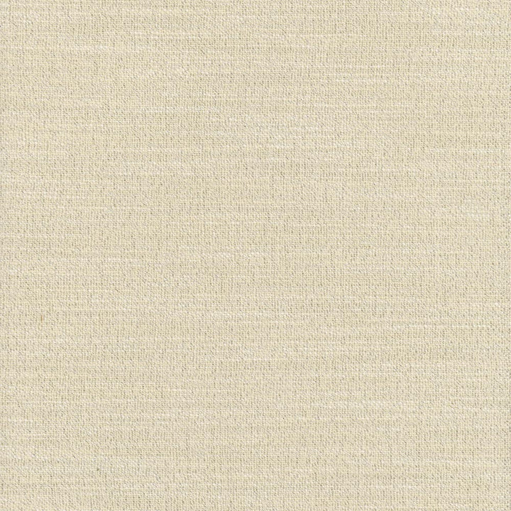 Say Yes Glint by Carole Designer Fabric Winner'S Circle 78% Polyester, 22% Viscose India N/A Horizontal: 0 and Vertical: 0 55 - Swanky Fabrics -