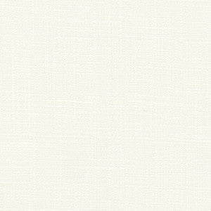 This Very Moment Cloud by Carole Designer Fabric