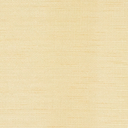 Banksville Manila by Carole Designer Fabric Power Play 100% Polyester 24,000 Wyzenbeek Double Rubs None 54" - Swanky Fabrics -