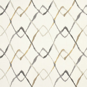 Stunning Speed Vintage by Carole Designer Fabric