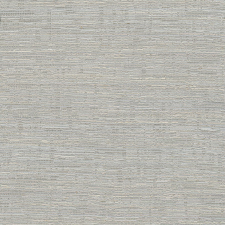 Greater Good Silver by Carole Designer Fabric Alliance 76% Polyester, 14% Cotton, 5% Rayon, 5% Linen India 30,000 Wyzenbeek Double Rubs None 55 1/2"" - Swanky Fabrics -