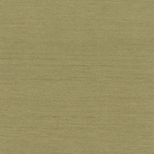 Northwind Sage by Carole Designer Fabric