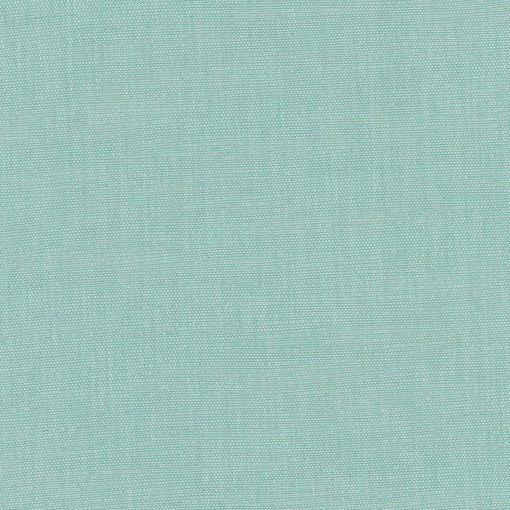 Athlete Spa by Carole Designer Fabric Celadon 60% Cotton, 40% Polyester India Passes 50,000 Double Rubs Wyzenbeek Horizontal: 0 and Vertical: 0 55 - Swanky Fabrics -
