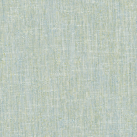 Hard Knocks Aqua by Carole Designer Fabric Celadon 69% Polyester, 31% Cotton India Passes 30,000 Double Rubs Wyzenbeek </p><p>Repeat: None 555" - Swanky Fabrics -