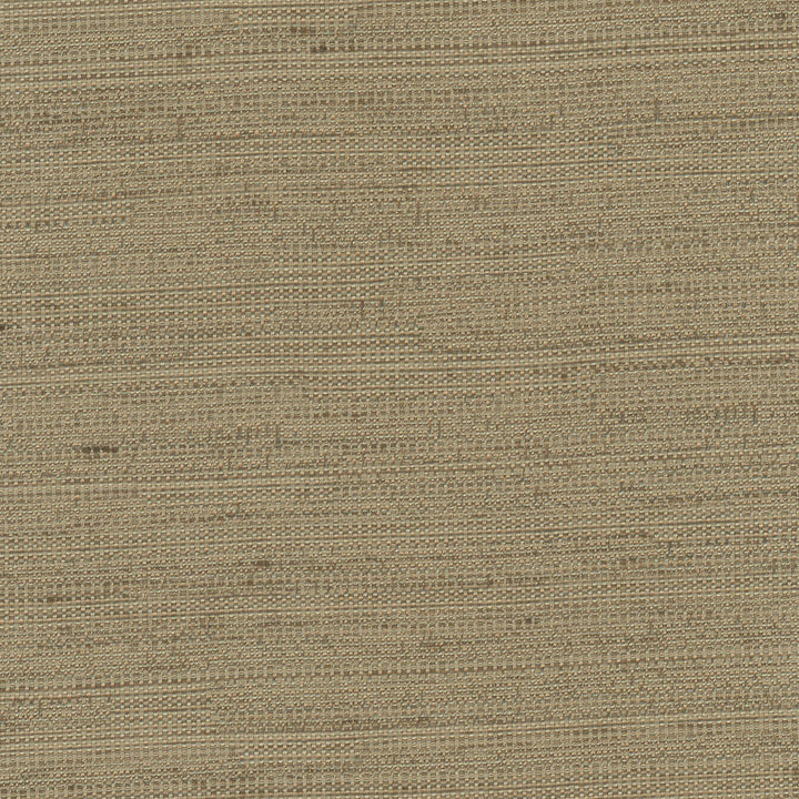 Aiden Walnut by Carole Designer Fabric Chestnut 100% Polyester India N/A Horizontal: 0 and Vertical: 0 54 - Swanky Fabrics -