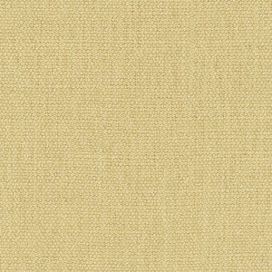 Resolve Latte by Carole Designer Fabric