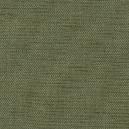 Bessarion Tarragon by Carole Designer Fabric Prominence 71% Polyester, 29% Cotton India None 55" - Swanky Fabrics -