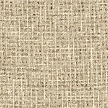 Adjuster Natural by Carole Designer Fabric Toasted Almond 62% Polyester, 32% Cotton, 6% Viscose INDIA 27,000 Wyzenbeek Double Rubs None 54" - Swanky Fabrics -