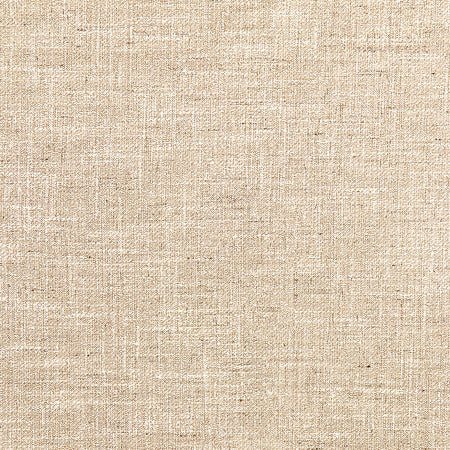 Astounding Sand by Carole Designer Fabric Best Dressed 53% Cotton, 47% Polyester 15,000 Wyzenbeek Double Rubs None 54" - Swanky Fabrics -