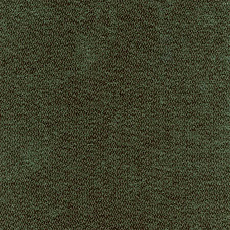 Bright Future Forest Green by Carole Designer Fabric First Class 100% Polyester CHINA 100,000 Wyzenbeek Double Rubs None 54" - Swanky Fabrics -
