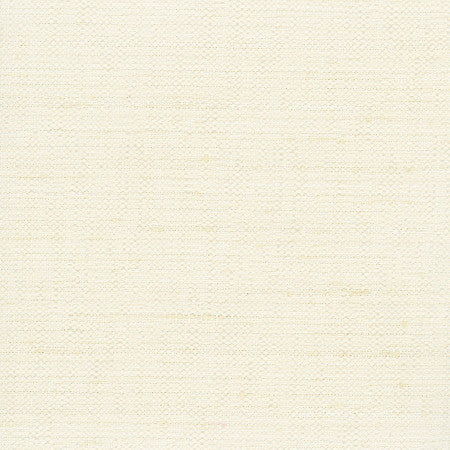Foreseeable Ivory by Carole Designer Fabric Opal 100% Polyester India N/A Horizontal: None and Vertical: None 54" - Swanky Fabrics -