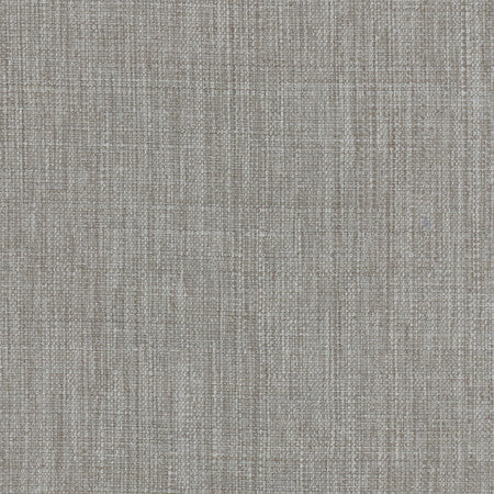 Intention Shale by Carole Designer Fabric Head Start 100% Polyester Taiwan 25,000 Wyzenbeek Double Rubs None 54" - Swanky Fabrics -