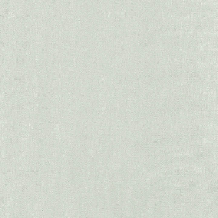 Comfort Mint by Carole Designer Fabric Daydreaming 100% Cotton India Passes 21,000 Double Rubs Wyzenbeek Horizontal: 0 and Vertical: 0 54 - Swanky Fabrics -