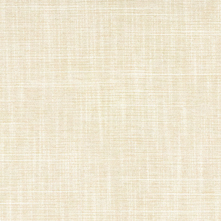 Big Thinker Bisque by Carole Designer Fabric Power Play 100% Polyester N/A None 55" - Swanky Fabrics -