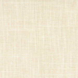 Big Thinker Bisque by Carole Designer Fabric