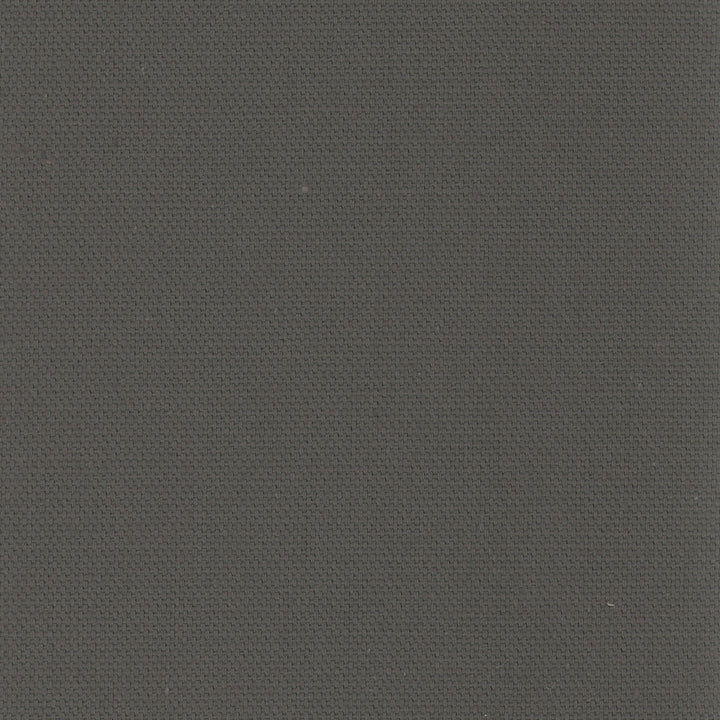 Daydreamer Charcoal by Carole Designer Fabric Daydreaming 100% Cotton- Soil Release USA Passes 30,000 Double Rubs Wyzenbeek Horizontal: 0 and Vertical: 0 54 - Swanky Fabrics -
