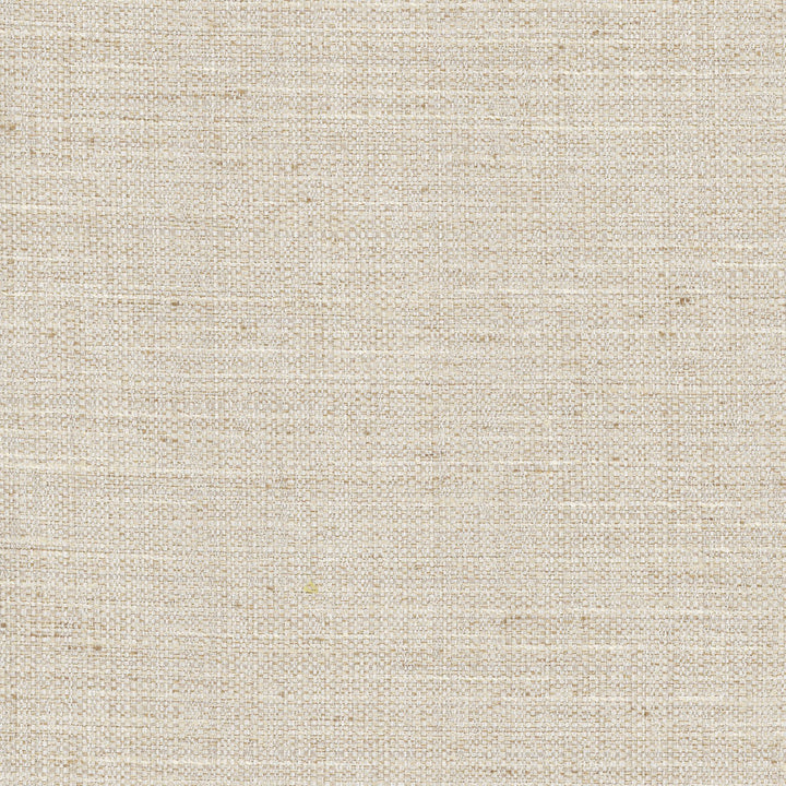 Rock Wall Linen by Carole Designer Fabric Opal 83% Polyester, 12% Cotton, 5% Rayon India N/A Horizontal: 0 and Vertical: 0 55 - Swanky Fabrics -