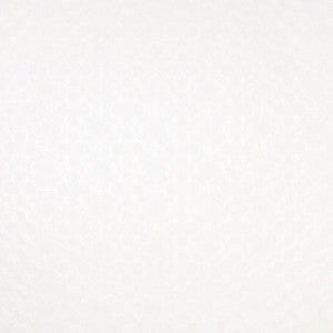 Arms Outstretched Pure by Carole Designer Fabric