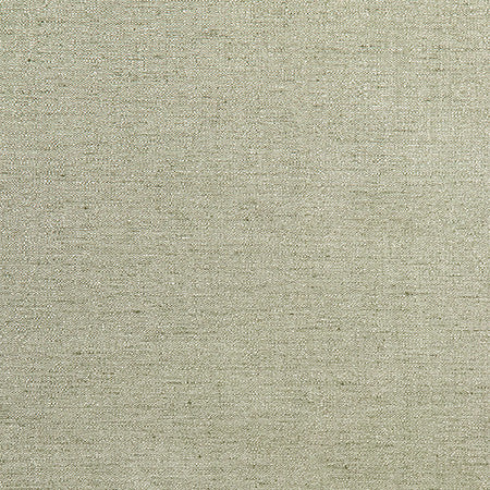 Admiration Sage by Carole Designer Fabric Best Dressed 83% Polyester, 17% Cotton 15,000 Wyzenbeek Double Rubs None 54" - Swanky Fabrics -