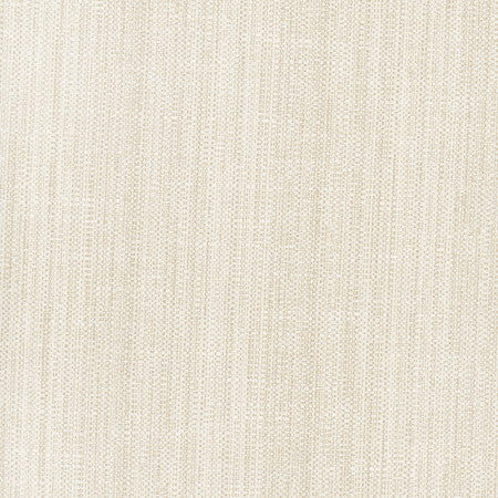 Rock Wall Raffia by Carole Designer Fabric Opal 83% Polyester, 12% Cotton, 5% Rayon India None 55" - Swanky Fabrics -