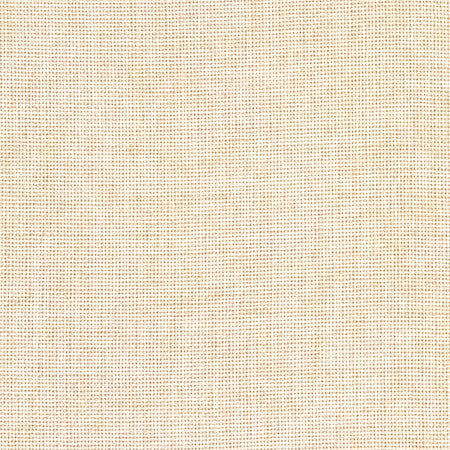 Director's Cut Straw by Carole Designer Fabric Power Play 100% Polyester N/A None 55" - Swanky Fabrics -