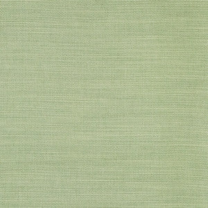 Boardroom Aloe by Carole Designer Fabric