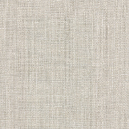 Intention Zinc by Carole Designer Fabric Head Start 100% Polyester Taiwan None 54" - Swanky Fabrics -