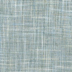 Tire Swing Aquamarine by Carole Designer Fabric
