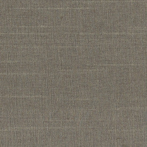 Succulent Cement by Carole Designer Fabric
