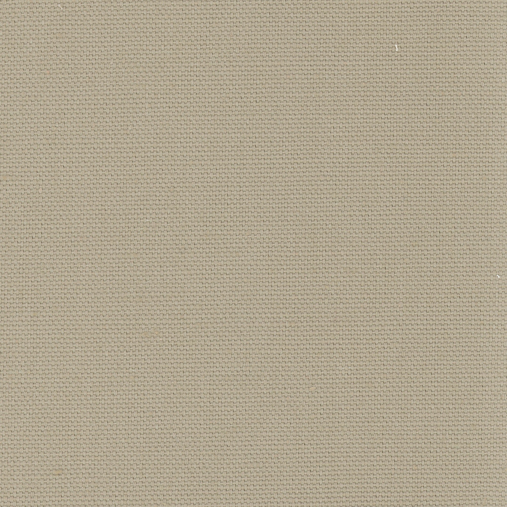 Daydreamer Beach by Carole Designer Fabric Daydreaming 100% Cotton- Soil Release USA Passes 30,000 Double Rubs Wyzenbeek Horizontal: 0 and Vertical: 0 54 - Swanky Fabrics -