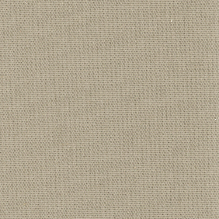 Daydreamer Beach by Carole Designer Fabric Daydreaming 100% Cotton- Soil Release USA Passes 30,000 Double Rubs Wyzenbeek Horizontal: 0 and Vertical: 0 54 - Swanky Fabrics -