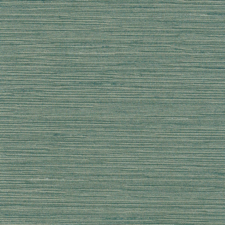 Optimism Lagoon by Carole Designer Fabric Synchrony 100% IFR Polyester India 5,000 Wyzenbeek Double Rubs None 54" - Swanky Fabrics -