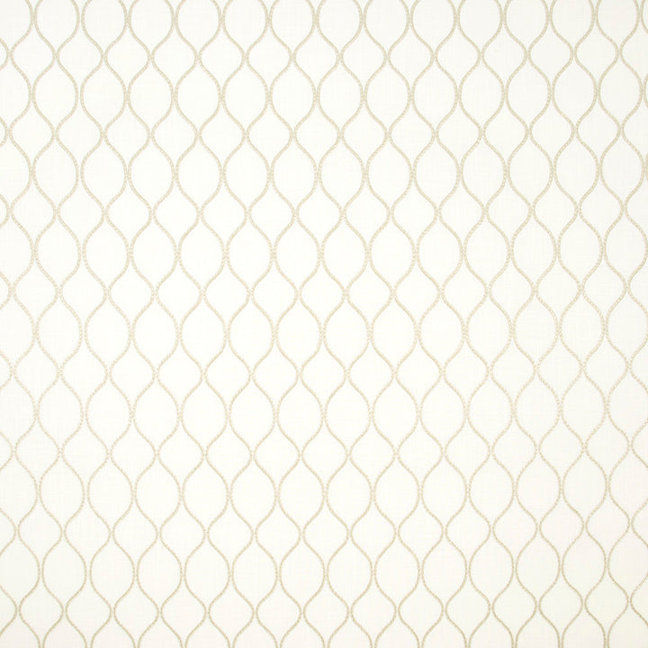 Unbreakable Beige by Carole Designer Fabric Birch 66% Cotton, 20% Polyester, 14% Zari India Passes 50,000 Double Rubs Wyzenbeek Horizontal: 275 and Vertical: 475 53 - Swanky Fabrics -