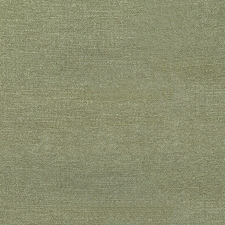 Illustrious Thyme by Carole Designer Fabric Best Dressed 100% Polyester 65,000 Wyzenbeek Double Rubs None 54" - Swanky Fabrics -