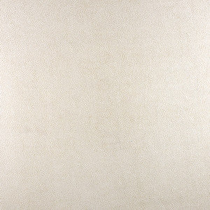Secret Spot Oatmeal by Carole Designer Fabric